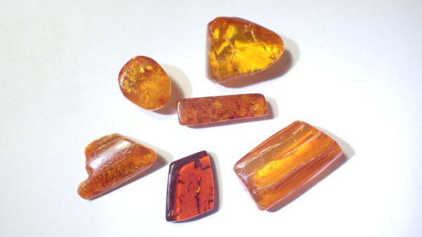 Amber with inclusions