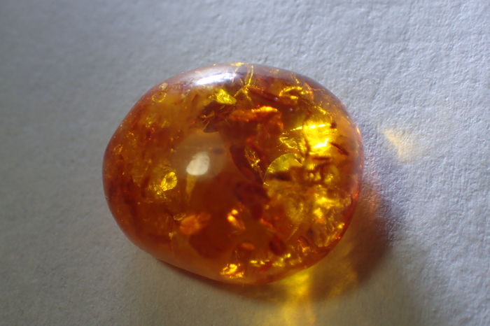6 items of Amber with inclusions from Poland (set 1) - Natural History ...