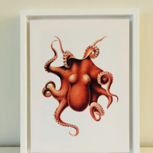 "The Cephalopoda" Octopus frame