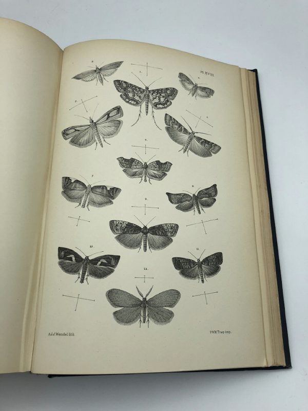Dr. J.Th. Oudemans - Nederlandsche insecten - 1900