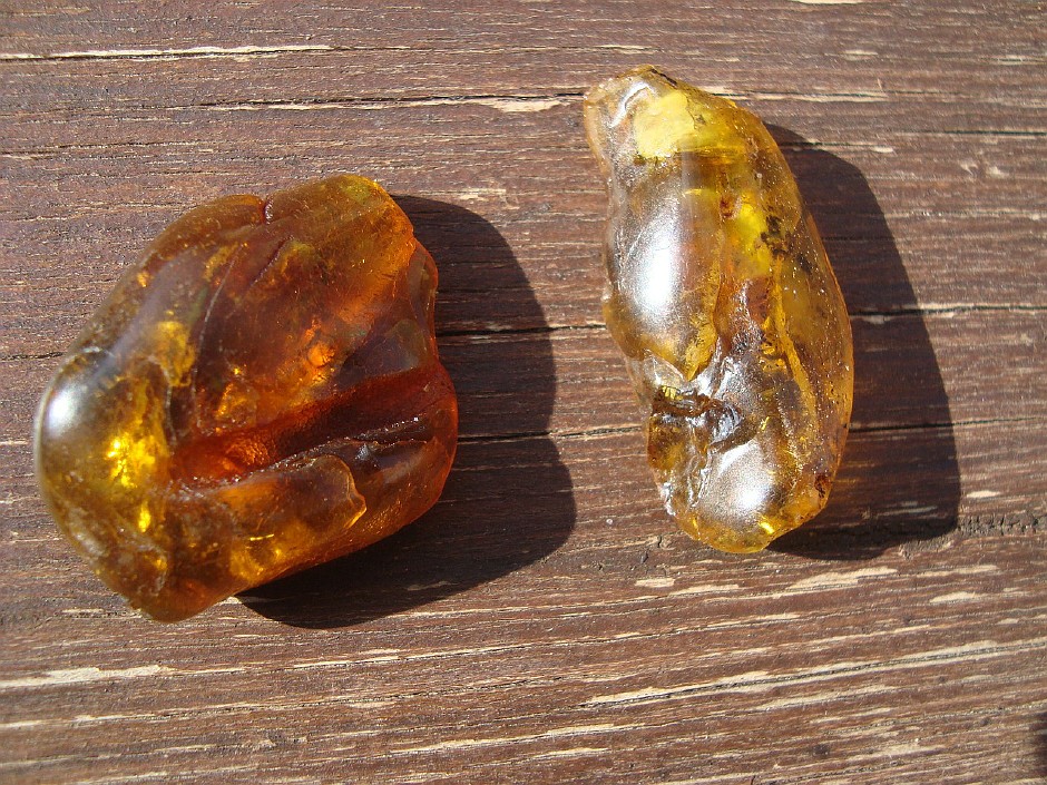 Amber stones, ancient gifts of nature’s unique past