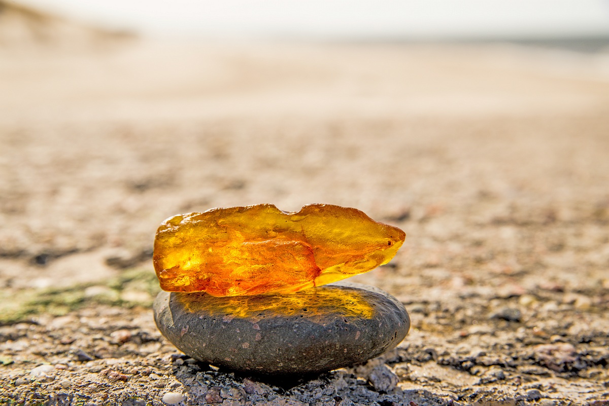 Amber stones, ancient gifts of nature’s unique past