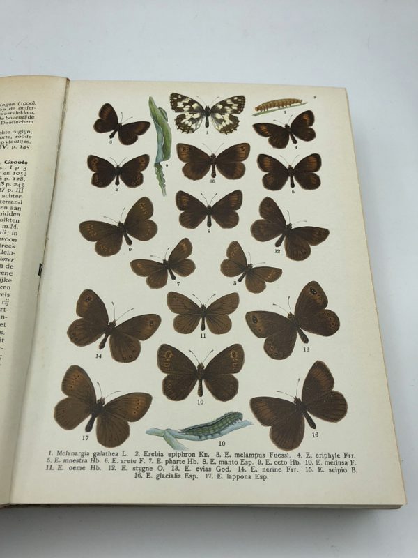 D. ter Haar - Onze vlinders (ca. 1928)