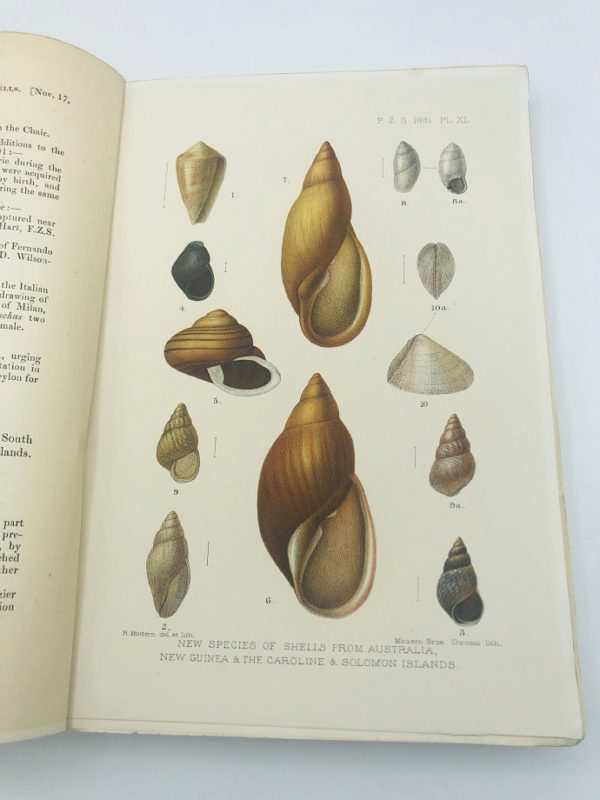 Robert Hudson - Proceedings of the scientific meetings of the Zoological society of London - 1891