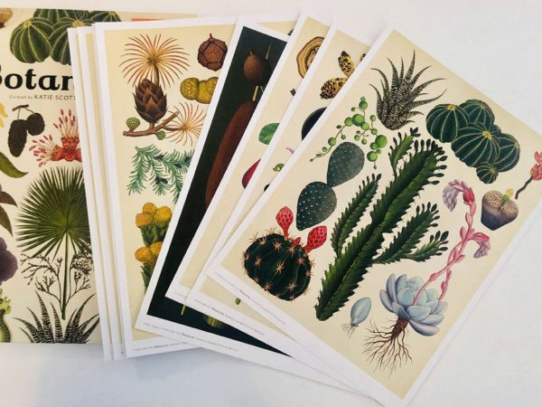 Welcome to the Museum: Botanicum (collector's edition)