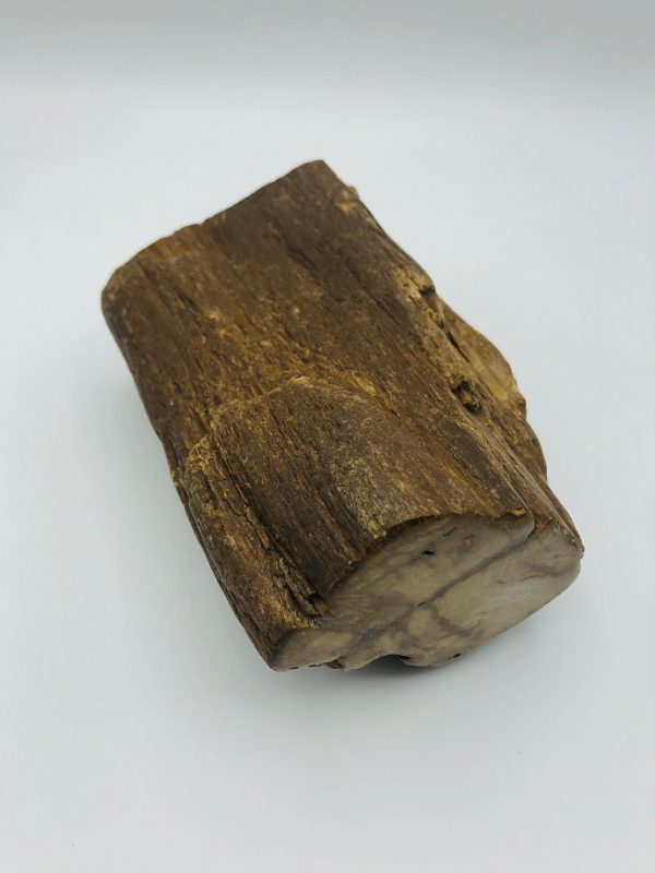 Petrified wood (6) from Indonesia (22 million year old)
