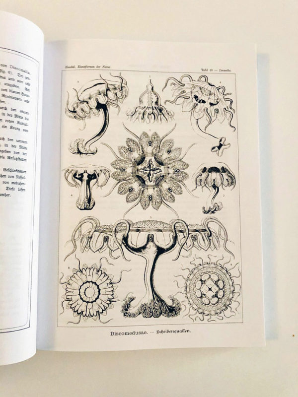Kunstformen der Nature - reprint 2015 (Ernst Haeckel)