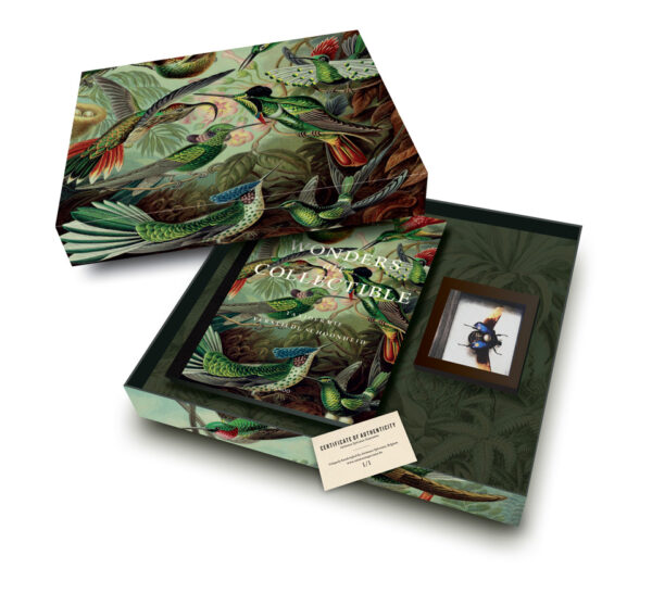 Box of Wonders - Taxidermy Deluxe Collectors Edition
