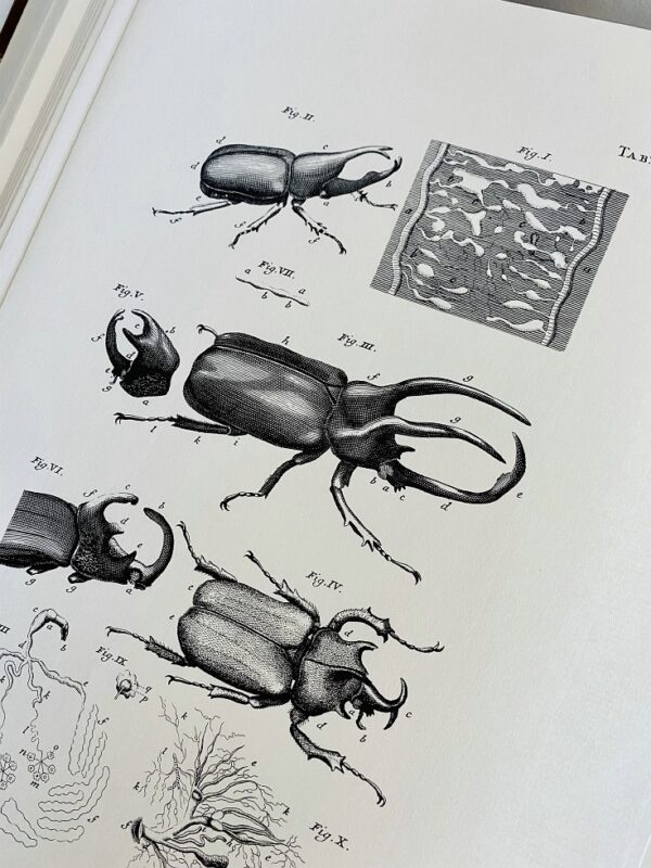 Jan Swammerdam - Bybel der natuure of historie der insecten - 1980