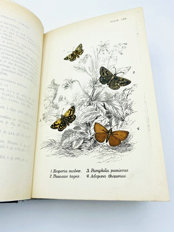 W. F. Kirby, F.L.S. - A Hand-Book of the Order Lepidoptera - 1894/1897