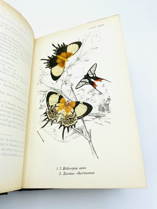W. F. Kirby, F.L.S. - A Hand-Book of the Order Lepidoptera - 1894/1897