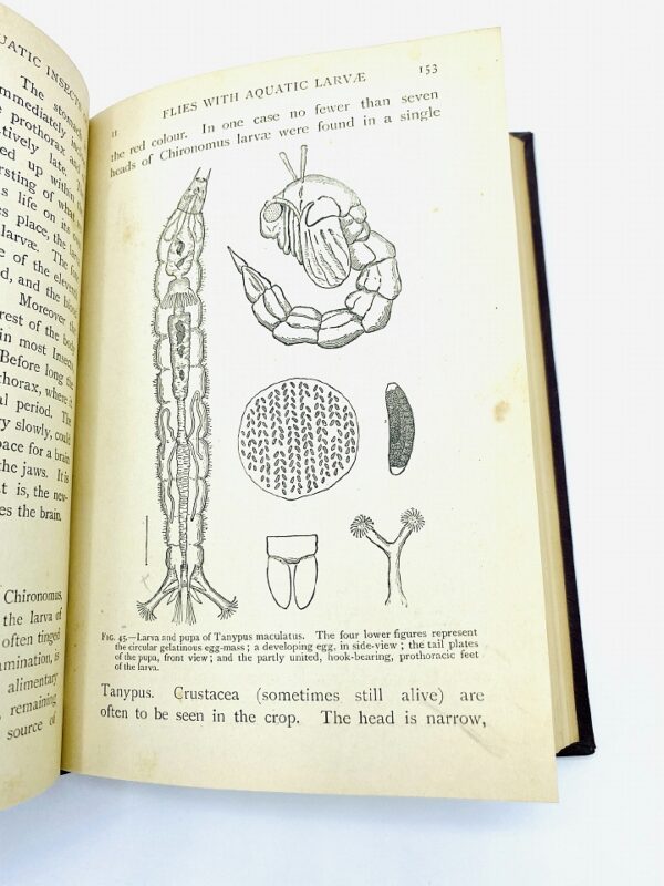 The Natural History of Aquatic Insects - Miall, Professor L. C. / Signed (1912)