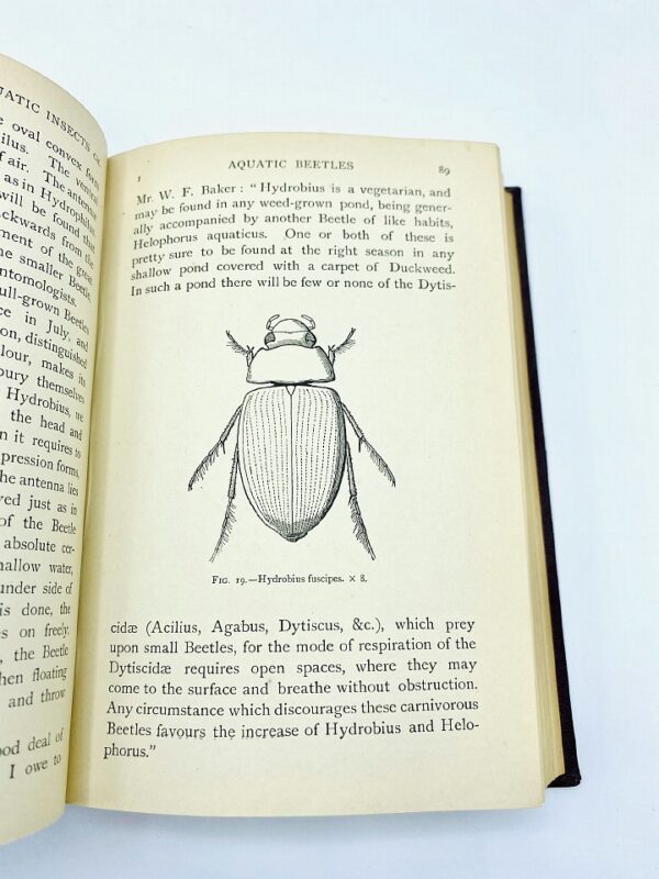The Natural History of Aquatic Insects - Miall, Professor L. C. / Signed (1912)