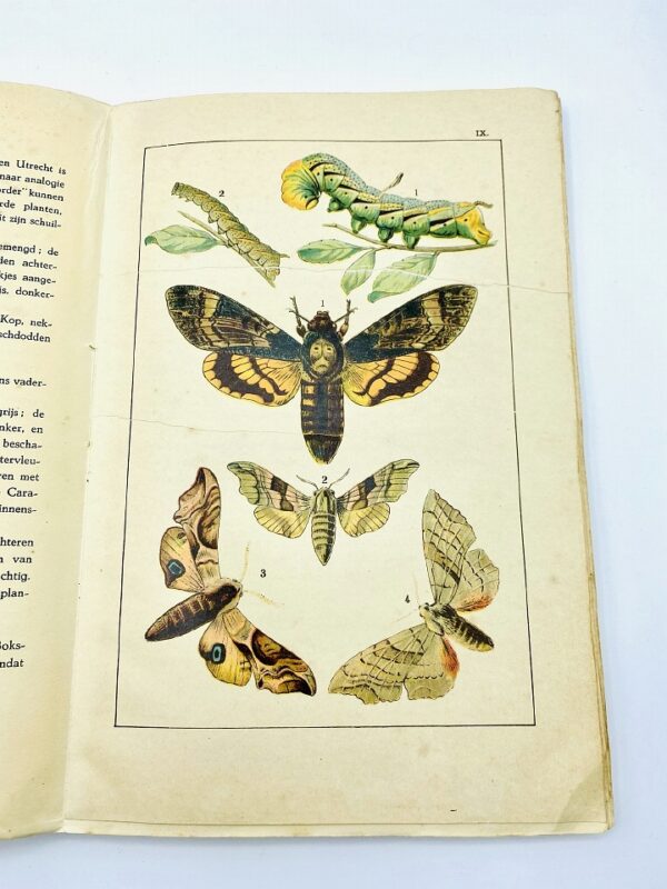 Vlinder atlas by E.J.V.M. Hoogeveen (1913) - incl. 20 litho's