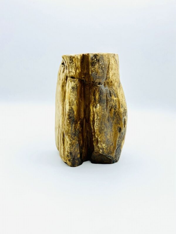 Block of petrified wood from Indonesia (22 million year old)