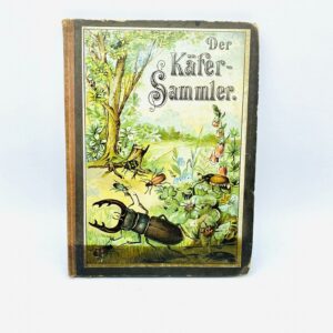 Der kleine Käfersammler - Löwensohn (1900)