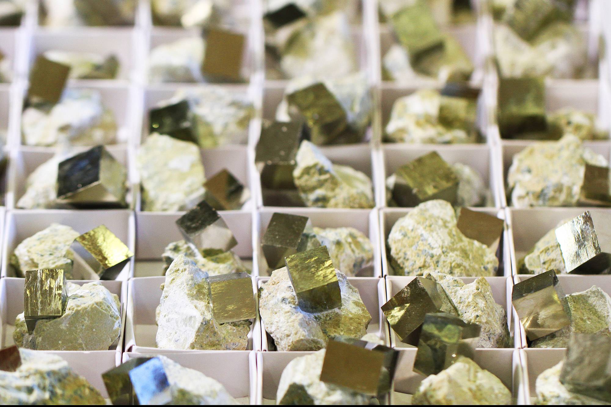 Collecting pyrite crystals and where to find the most beautiful ones!