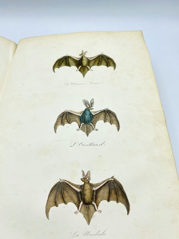 Oeuvres complètes de Buffon - Book 1, 2, 3 et 4 - Théorie de la terre - Les quadrupèdes (1855)