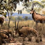 A Day at the American Museum of Natural History: A Treasure Trove for Curiosity Seekers